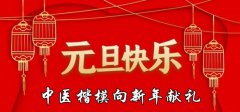 中国当代国医大师—张培轩